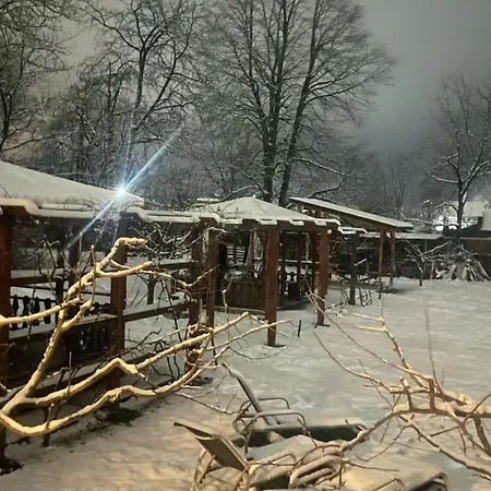 Pensiunea Tania-nora Farm stay Alexandru cel Bun
