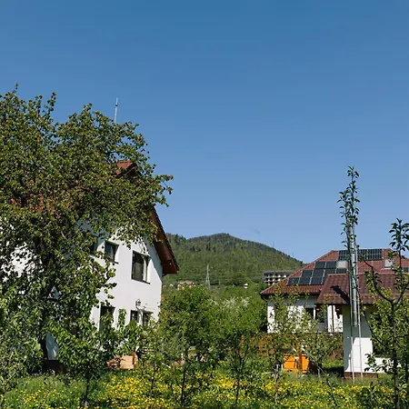 Pensiunea Tania-nora Farm stay *