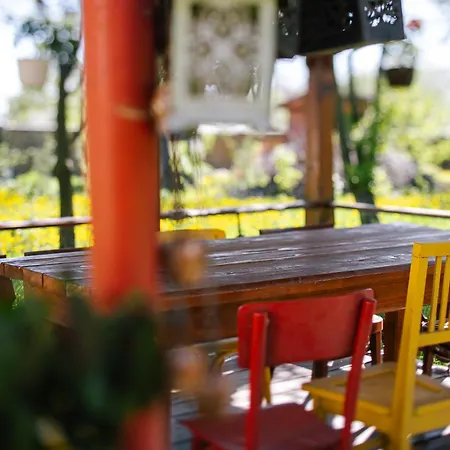 Pensiunea Tania-nora Farm stay *